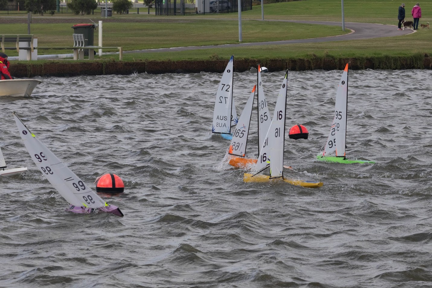 Albany Radio Sailing Club/albany21jun.jpg